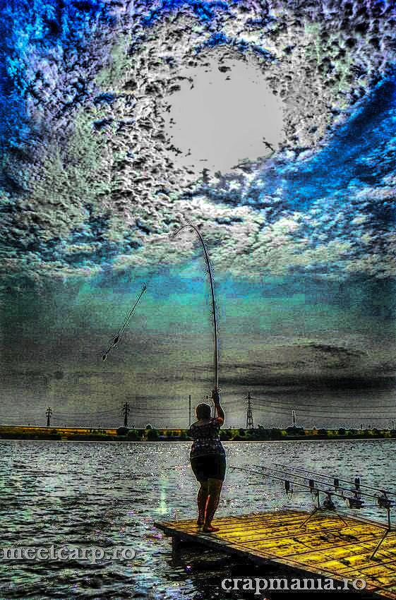 Meet Carp Romanian Awards - 2012 - 1006673-hdrhdrmode2.jpg